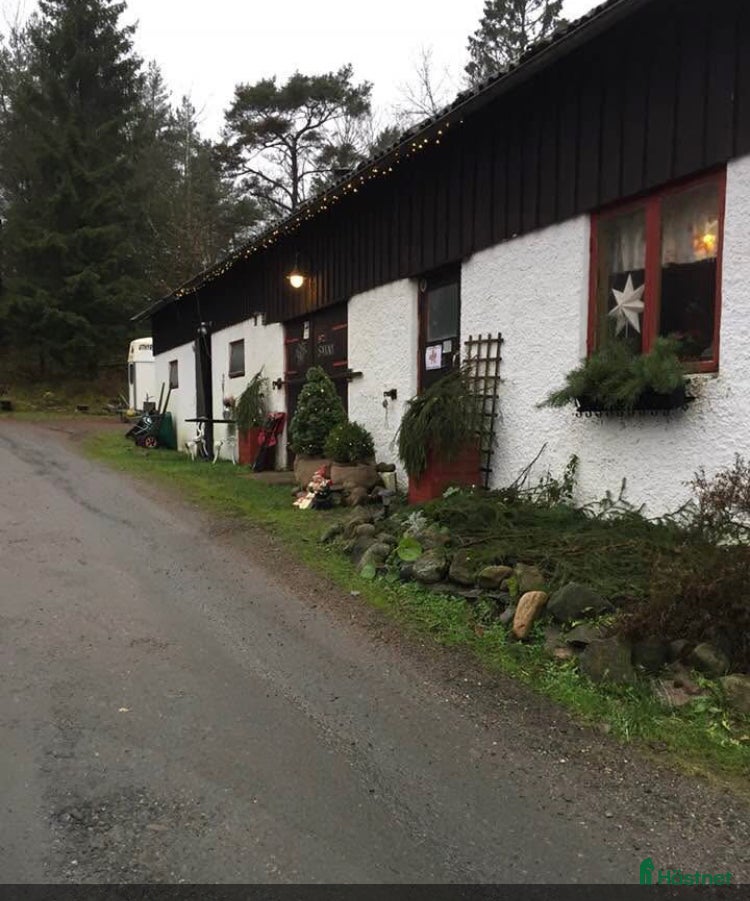  stallplats Stallplats uthyres till Islandshäst / ponny  i Mölnlycke - Annons 2