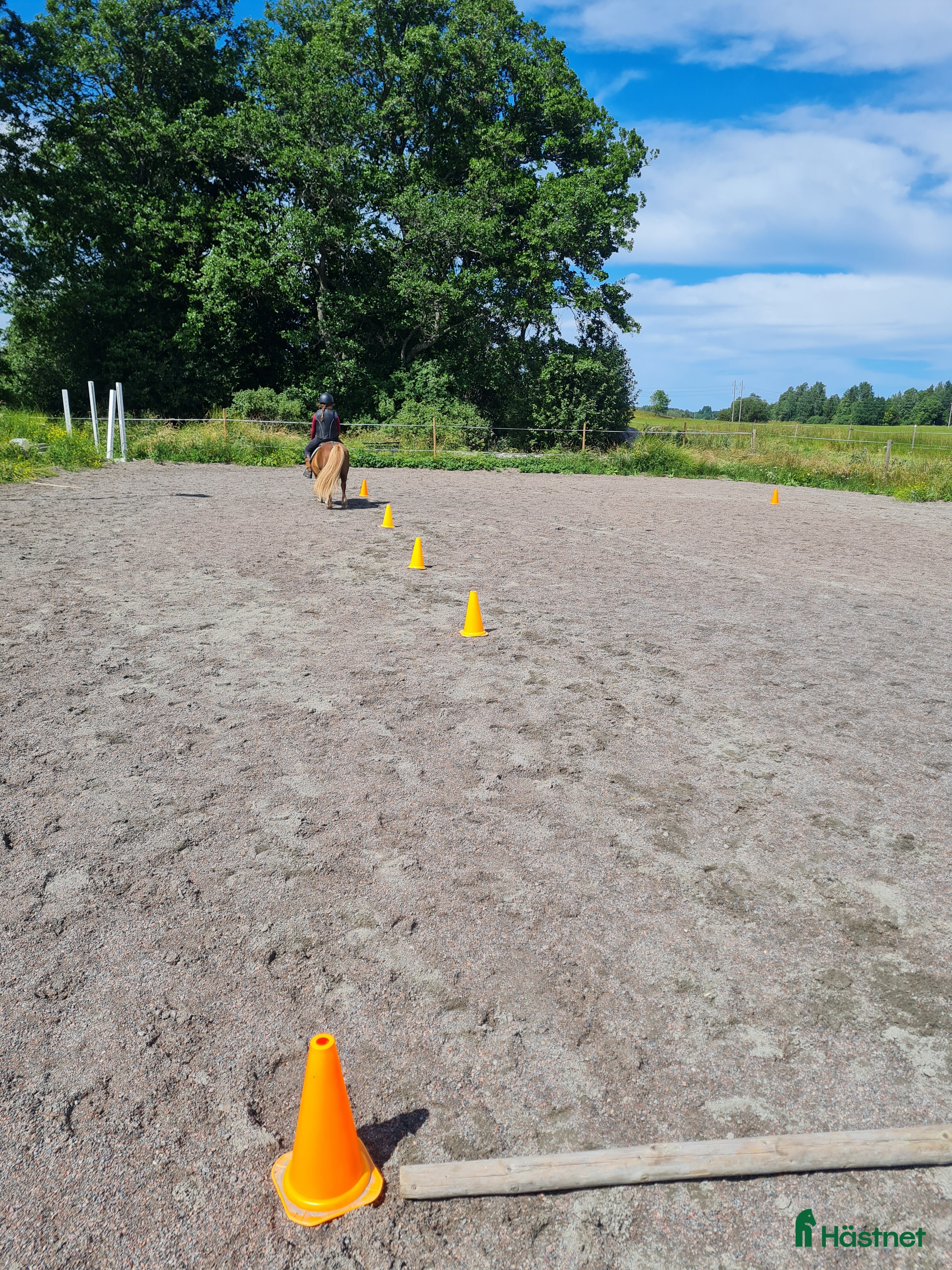  stallplats Box plats i Tensta Vattholma  - Annons 9