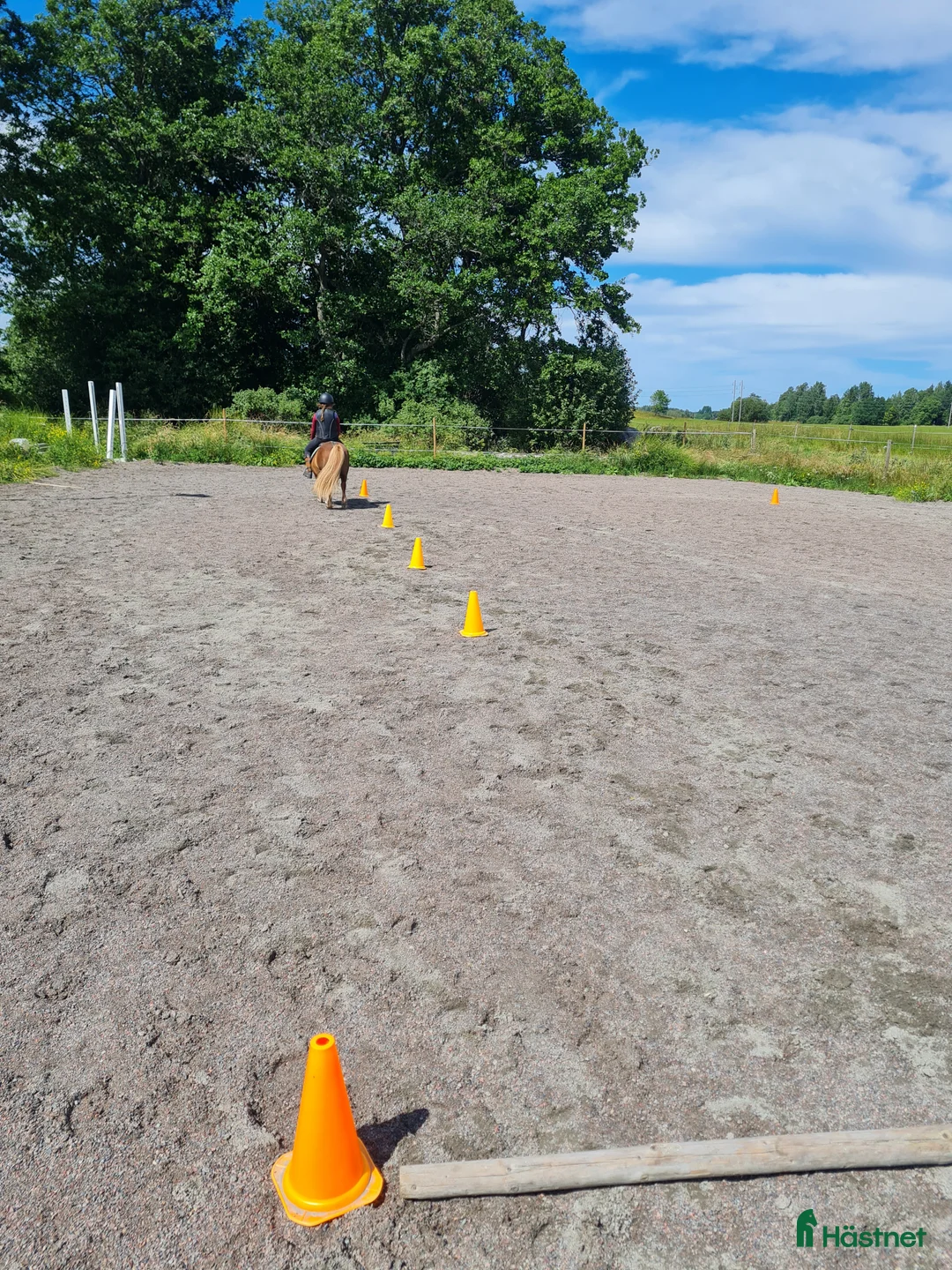  stallplats finnes: Box plats i Tensta Vattholma  - Annons 3