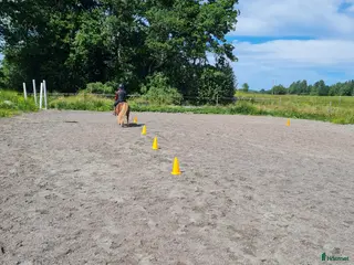 stallplats Box plats i Tensta Vattholma - Annons 9