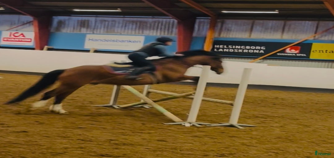 Galleribild {{count}}