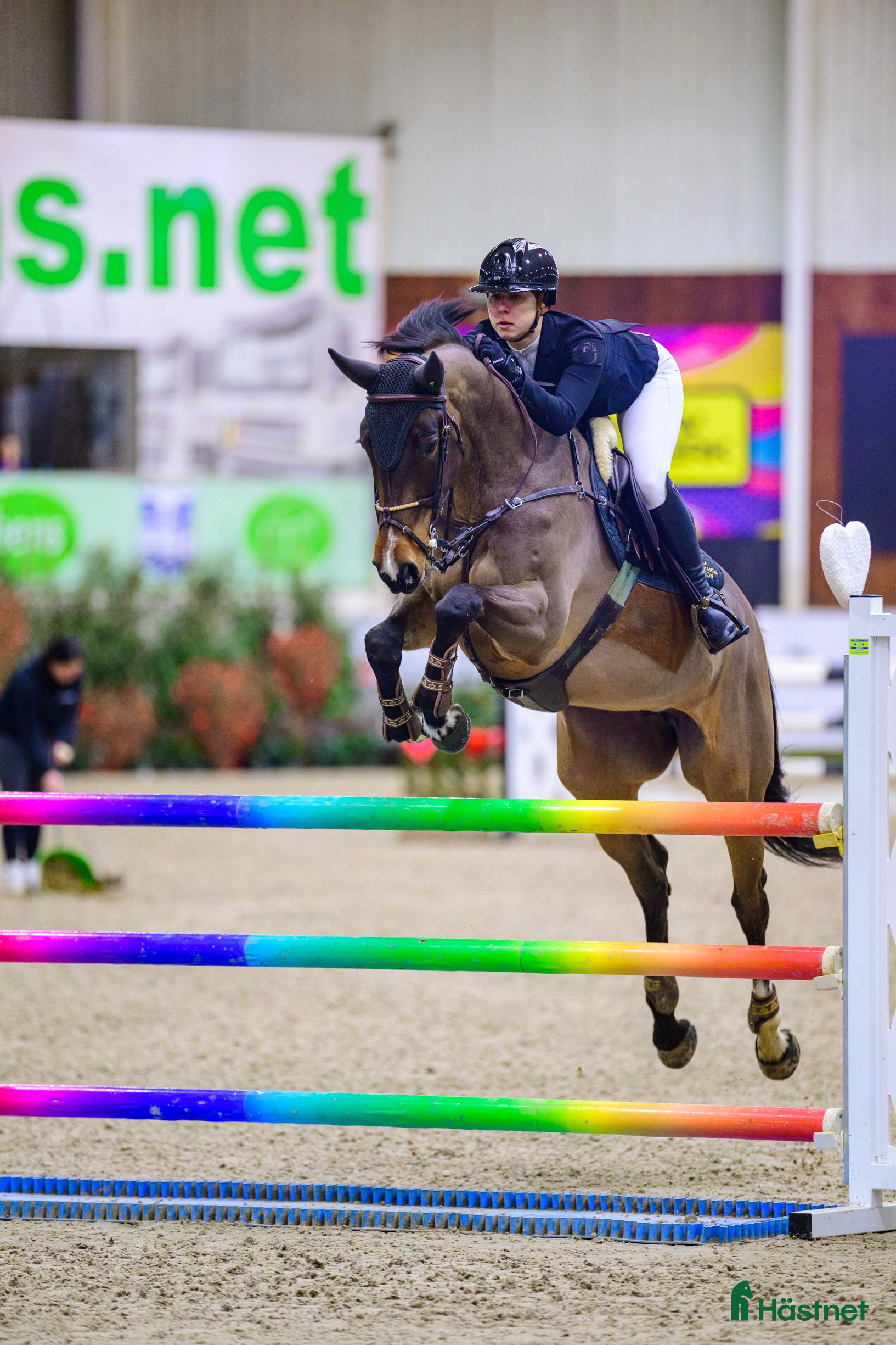  hästar Trevligt sto e.Kannan i Nybro - Annons 13