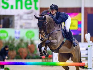 hästar Trevligt sto e.Kannan i Nybro - Annons 13