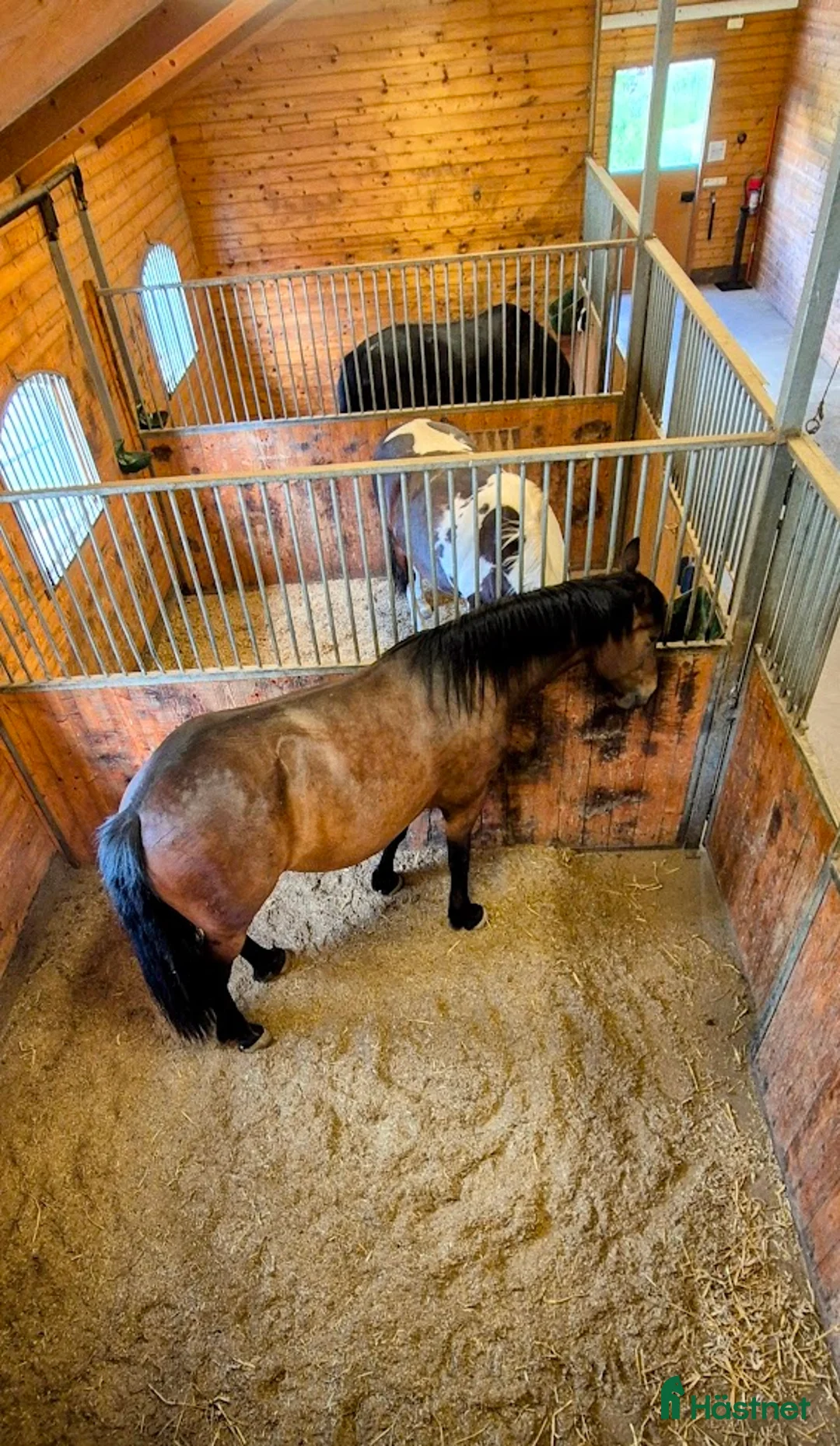  stallplats finnes: Stallplats i Tullinge för lättfödd häst/ponny i Tullinge - Annons 2