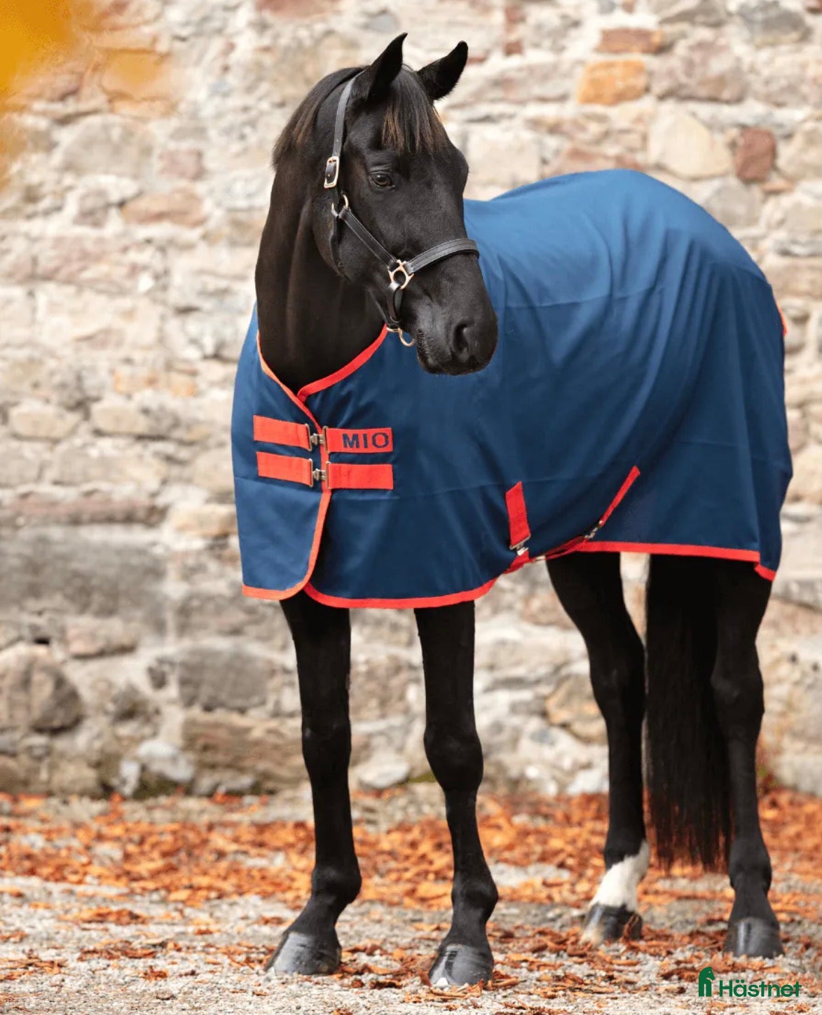 Täcken hästutrustning Mio Stable Sheet - Annons 6