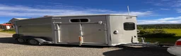 Hästtransporter  fordon & transport till salu: Ifor williams - Annons 2