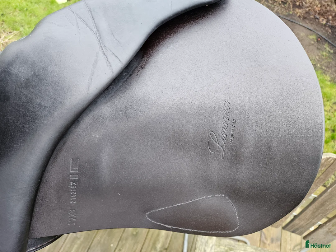 Sadlar hästutrustning till salu: Equipe Expression Linnea special 17,5  i Lund - Annons 7