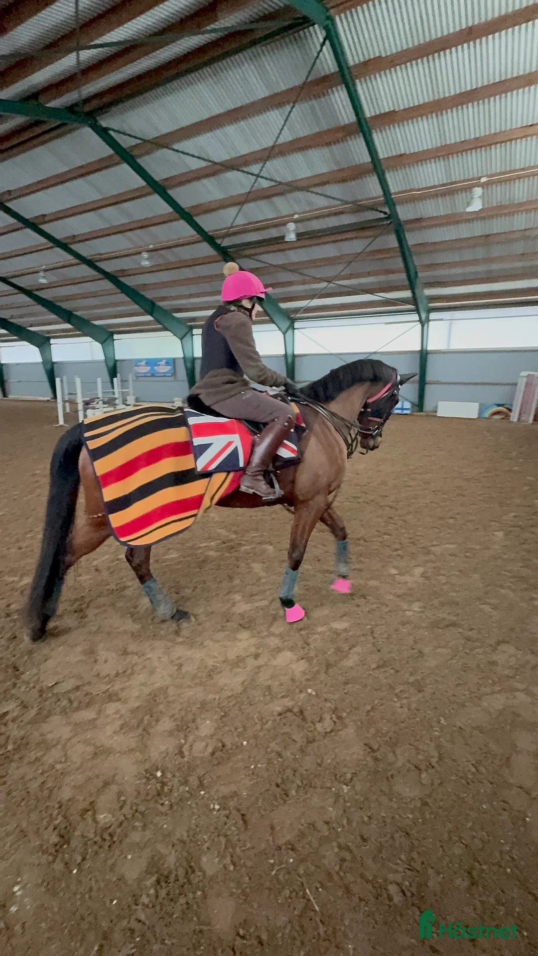  medryttarhäst finnes: Medryttare till 3 hästar sökes i Enköping  i Enköping - Annons 2