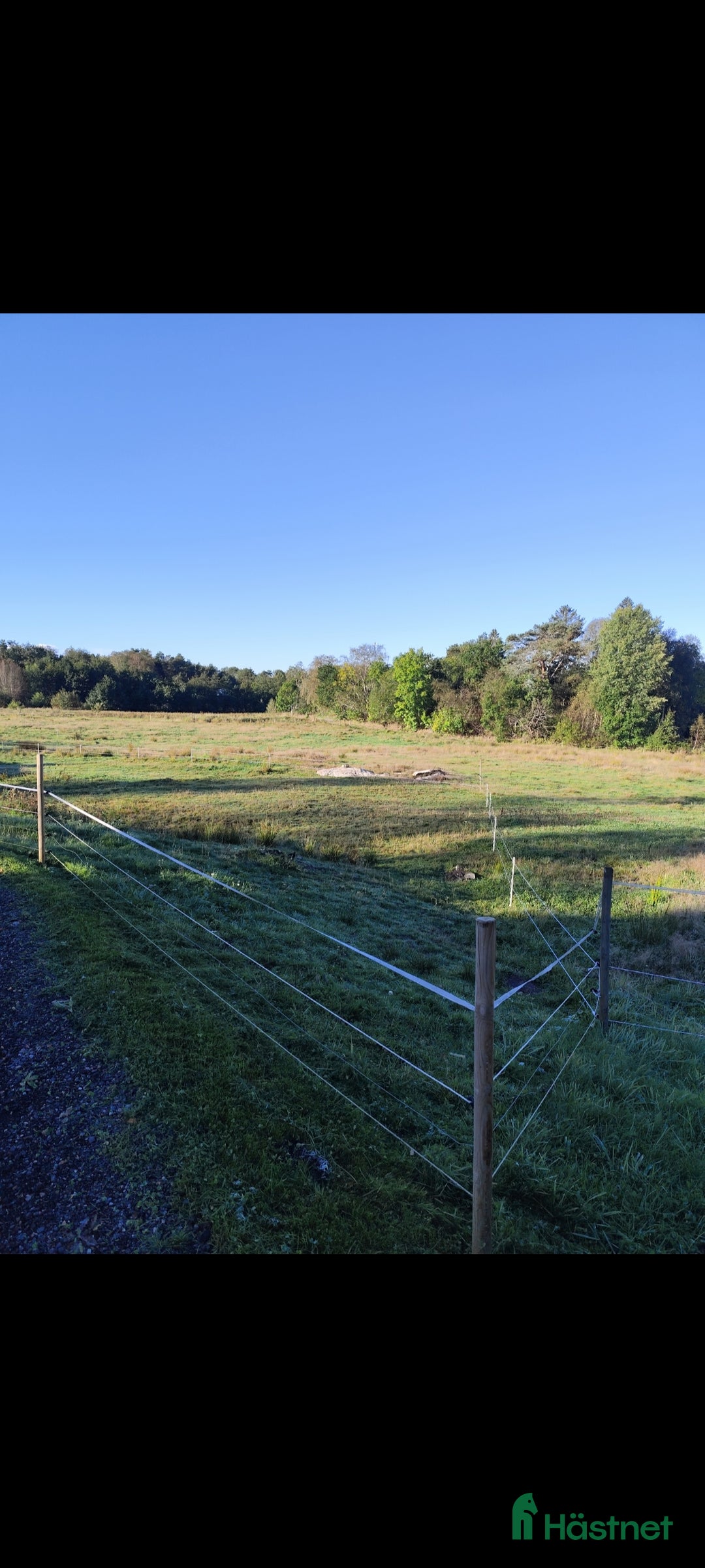  stallplats finnes: Liten mysig lösdrift i Säve - Annons 3