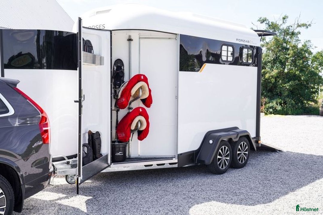 Hästtransporter  fordon & transport till salu: Forzab EQ2 med eller utan fronturlastning i Klippan - Annons 11