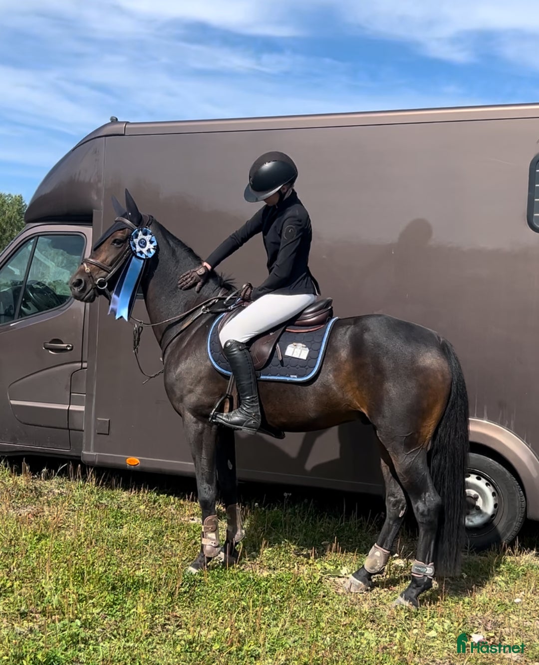 Hoppning hästar till salu: D-ponny till satsande ryttare - Annons 2