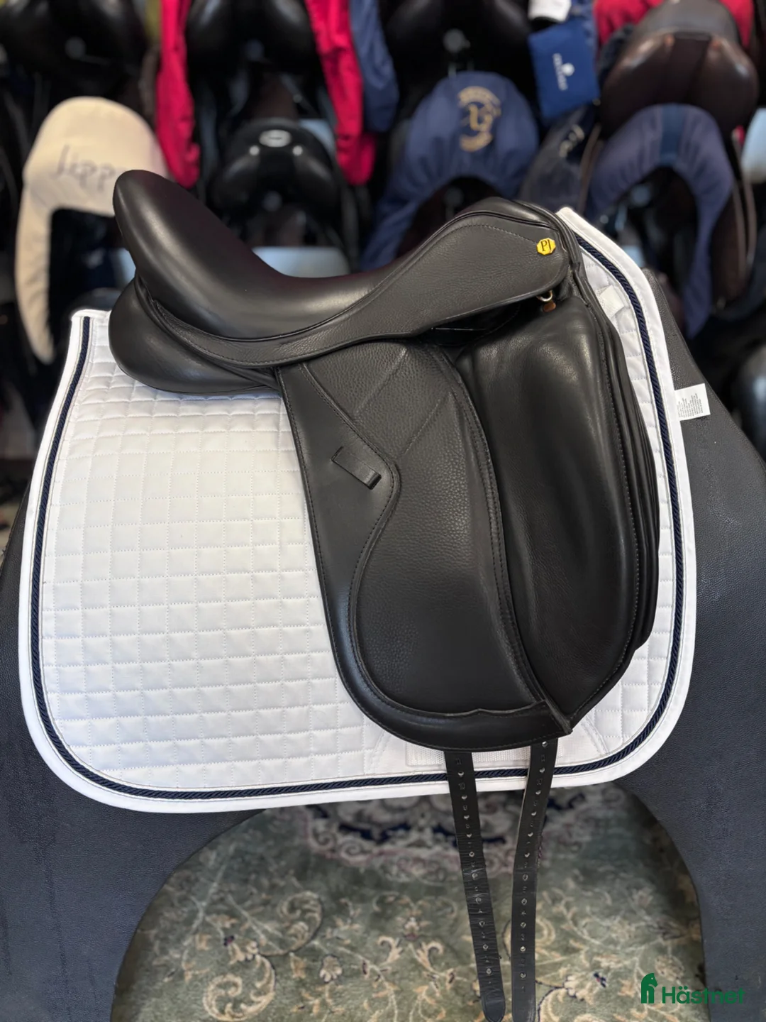 Sadlar hästutrustning till salu: Paul Jones  i Hova - Annons 2
