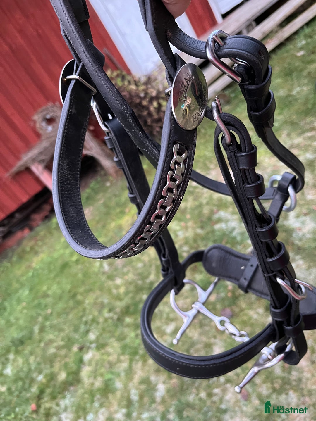 Körselar körning till salu: Parselar ponny Ideal i Västra Ämtervik - Annons 16