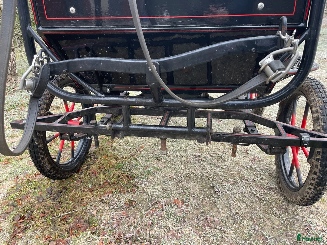 Körvagnar körning till salu: Vagn  - Annons 7