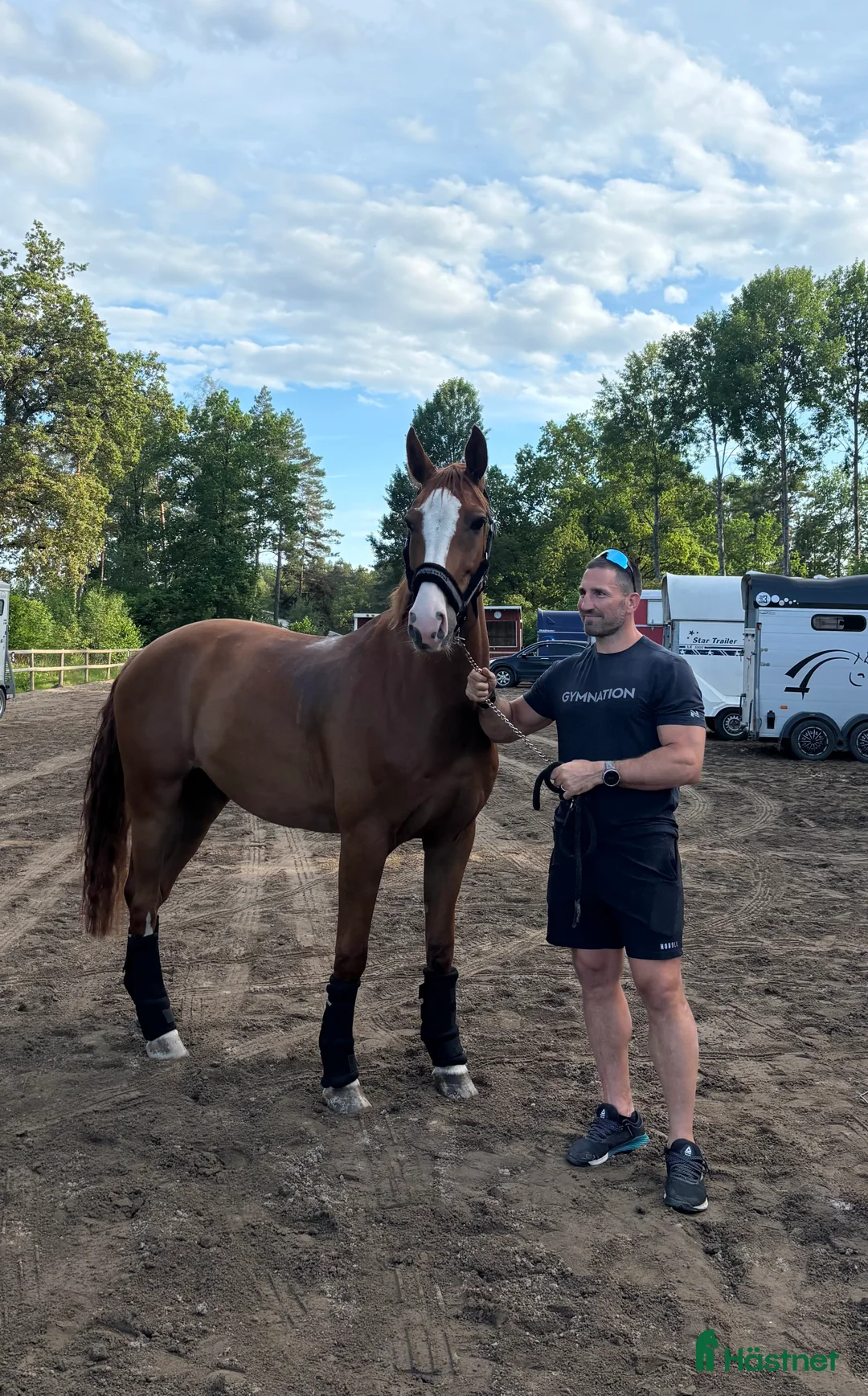 Hoppning hästar till salu: Fin valack med kapacitet  i Arlandastad - Annons 3