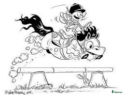  hästjobb Hästskötare sökes i Solna - Annons 3