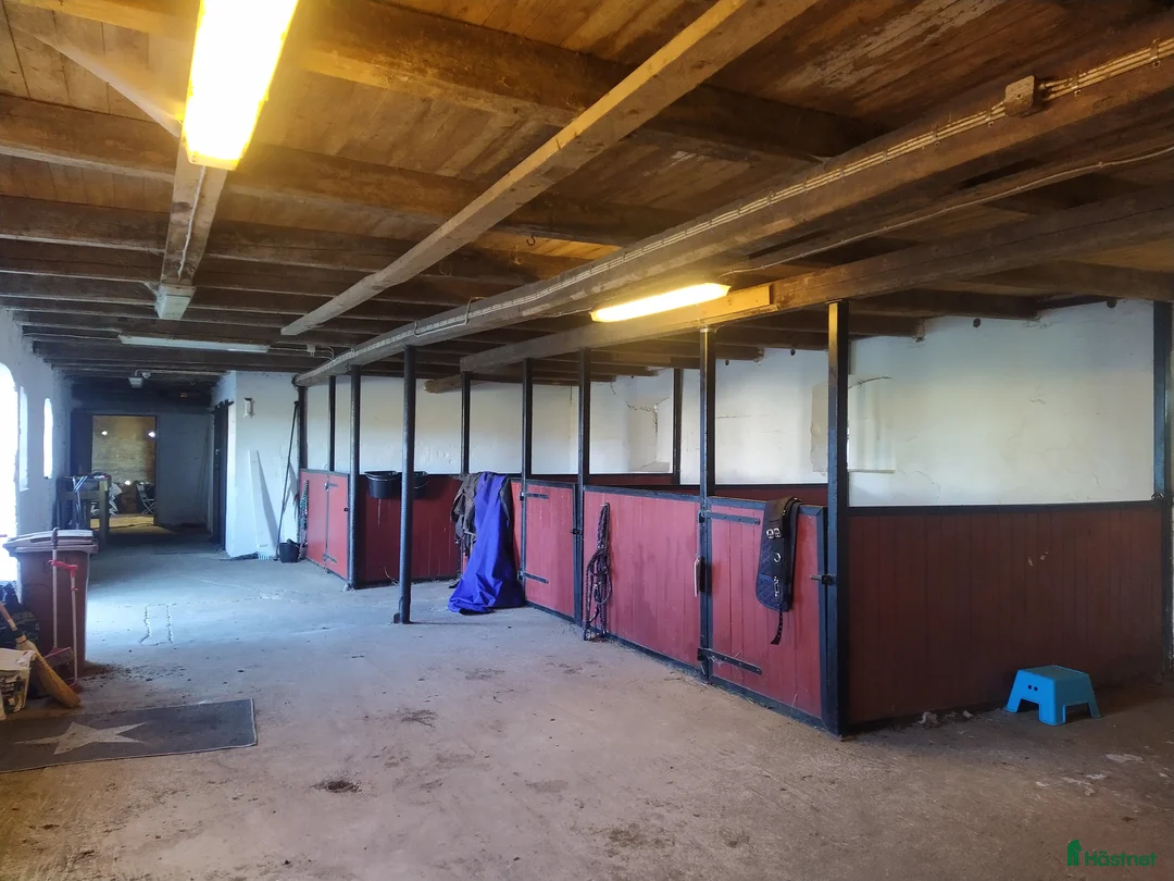  stallplats finnes: Hästboxar att hyra på en fantastisk tomt.  i Tomelilla - Annons 13
