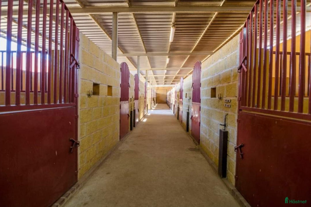  hästgårdar till salu: Hästgård- Costa del Sol, Spanien  i Mijas - Annons 2