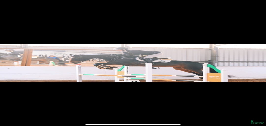 Galleribild {{count}}