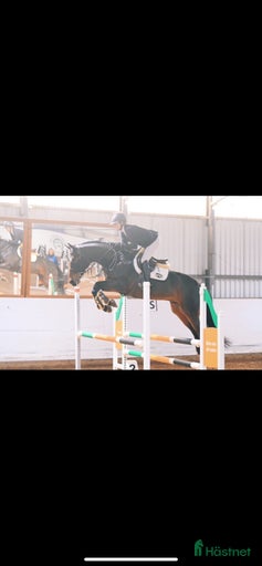 Galleribild {{count}}