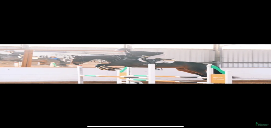 Galleribild {{count}}