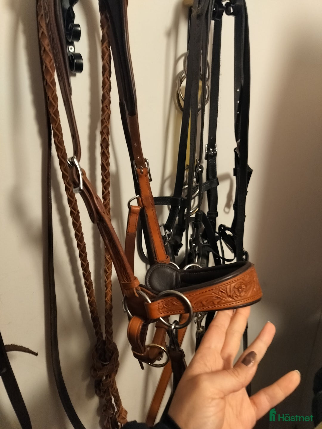 Träns hästutrustning till salu: Edix sidepull rose i cognac i Luleå - Annons 2