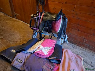 Övrig utrustning övrig utrustning till salu: Shetlandsponny Starter Kit🦄 i Grimeton - Annons 9