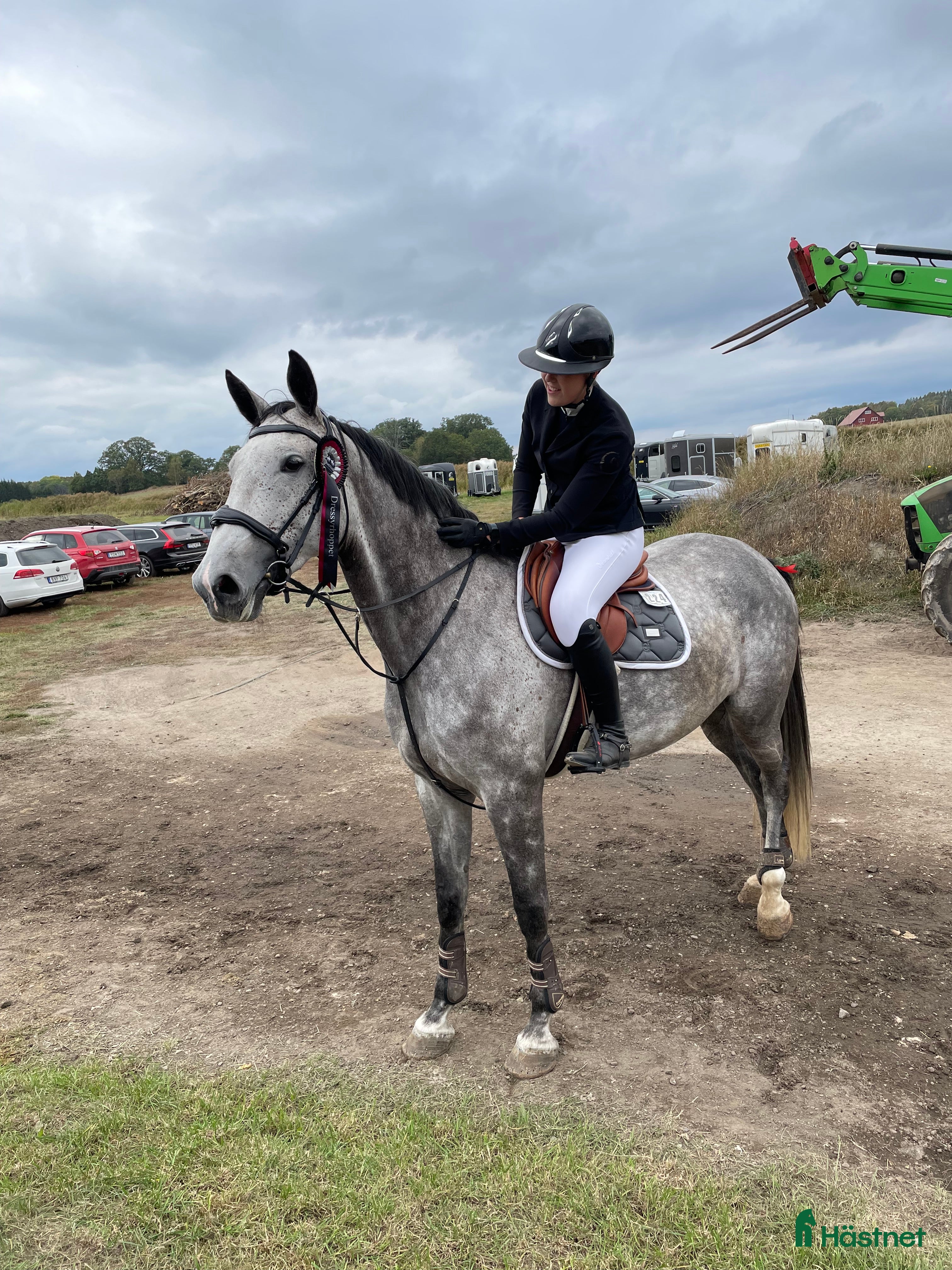  hästar Fynd till rätt ryttare  i Norrköping - Annons 15