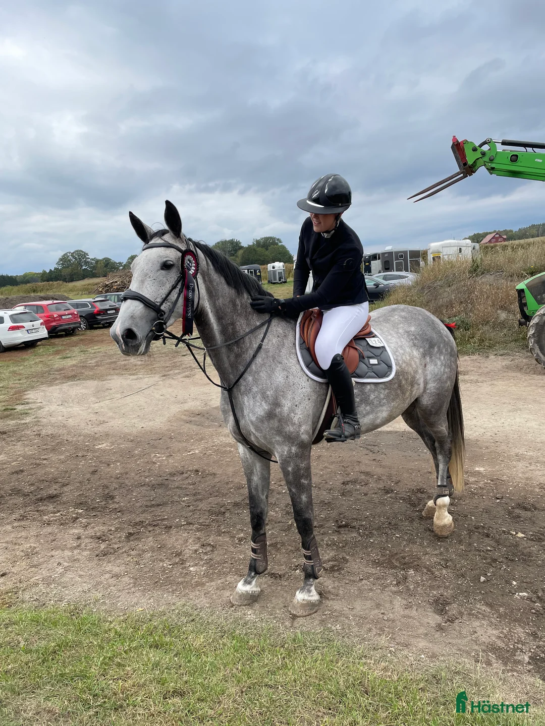 Hoppning hästar till salu: Fynd till rätt ryttare  i Norrköping - Annons 1