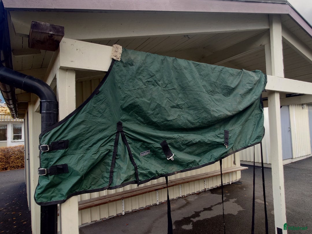 Täcken hästutrustning till salu: Fräscht grönt hästtäcke  i Kista - Annons 2