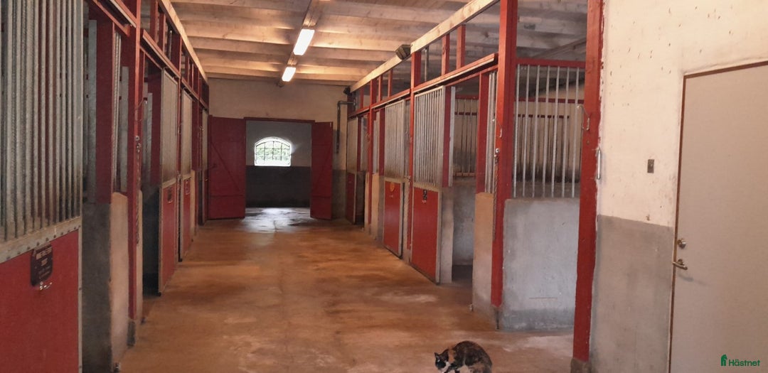  stallplats finnes: Boxplats uthyres i Staffanstorp - Annons 1