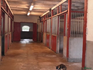 stallplats Boxplats uthyres i Staffanstorp - Annons 24