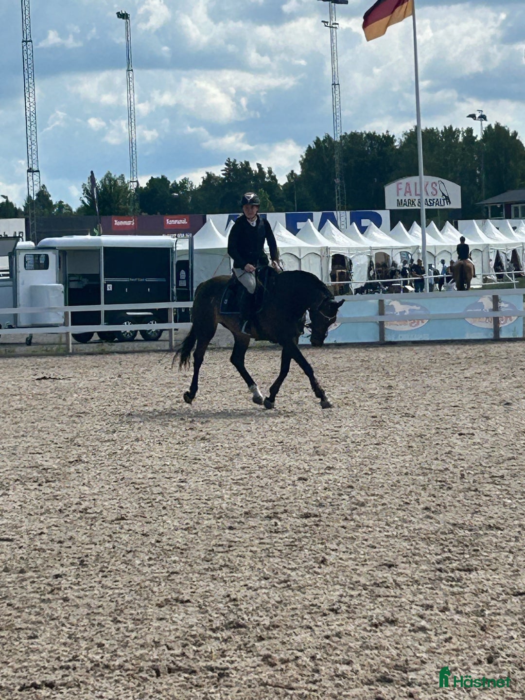  hästservice finnes: Ponnier mottages för träning/tävling/inridning i Björklinge - Annons 2