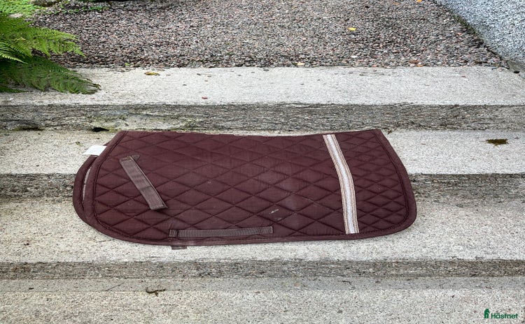 Schabrak & Vojlockar hästutrustning till salu: Glen Gordon Dressyr schabrak  i Landvetter - Annons 9