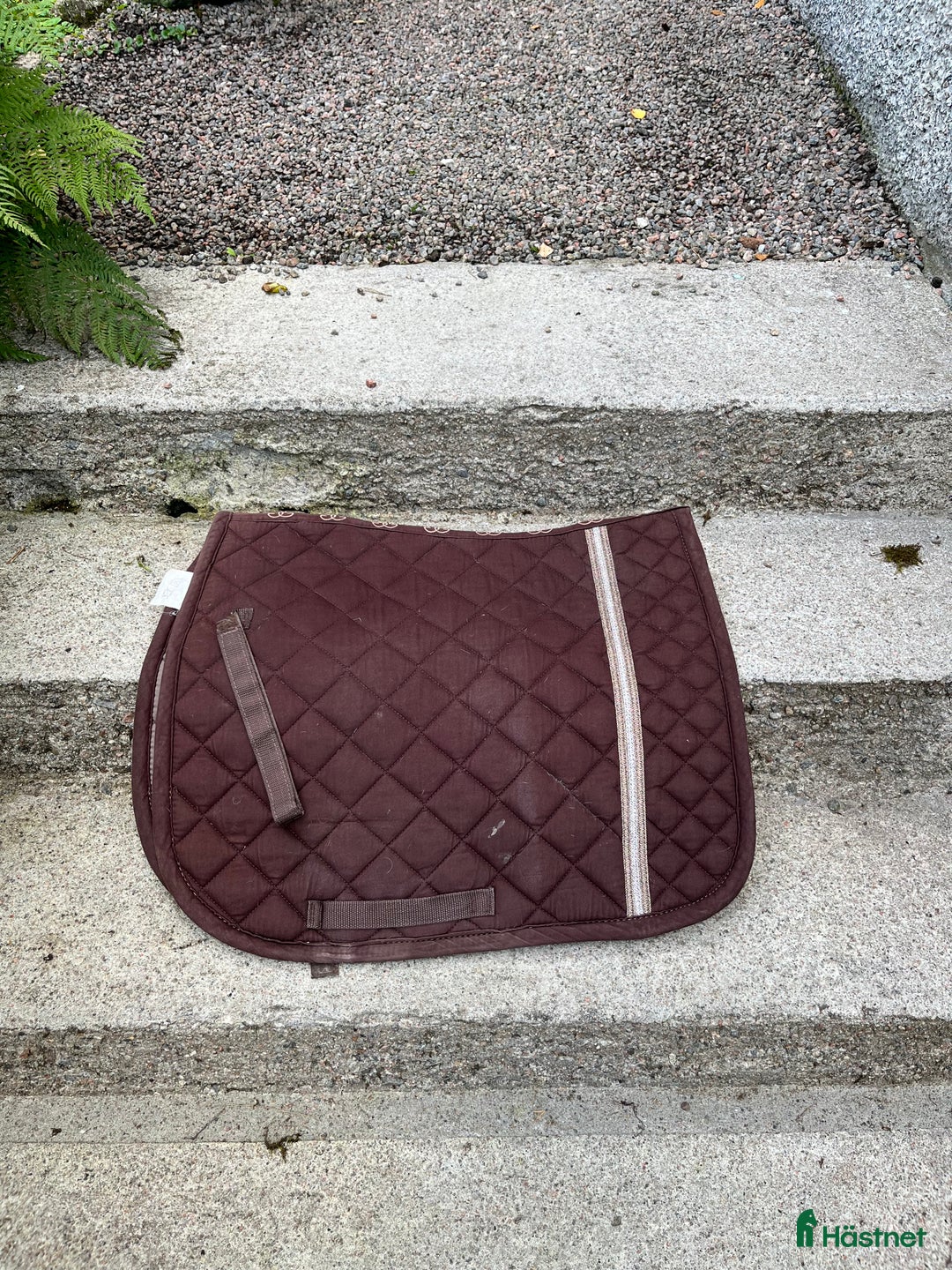 Schabrak & Vojlockar hästutrustning till salu: Glen Gordon Dressyr schabrak  i Landvetter - Annons 1