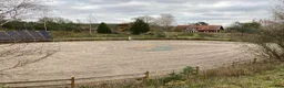  stallplats finnes: Plats i lösdriftsstall med stora hagar - Annons 5