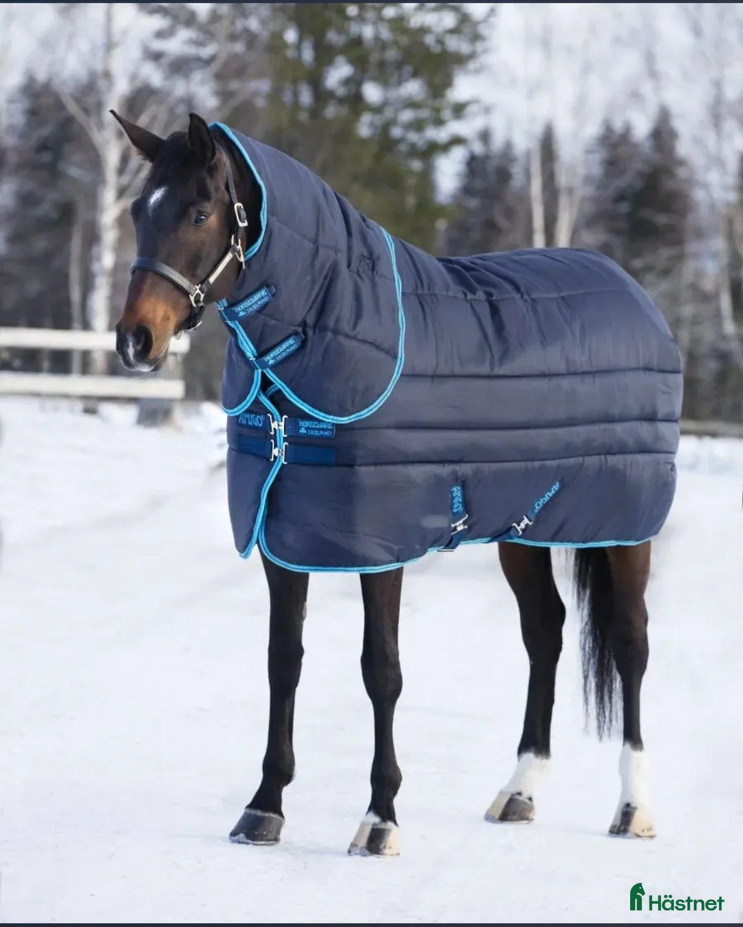 Täcken hästutrustning till salu: Lippo. Horsewear - Annons 2