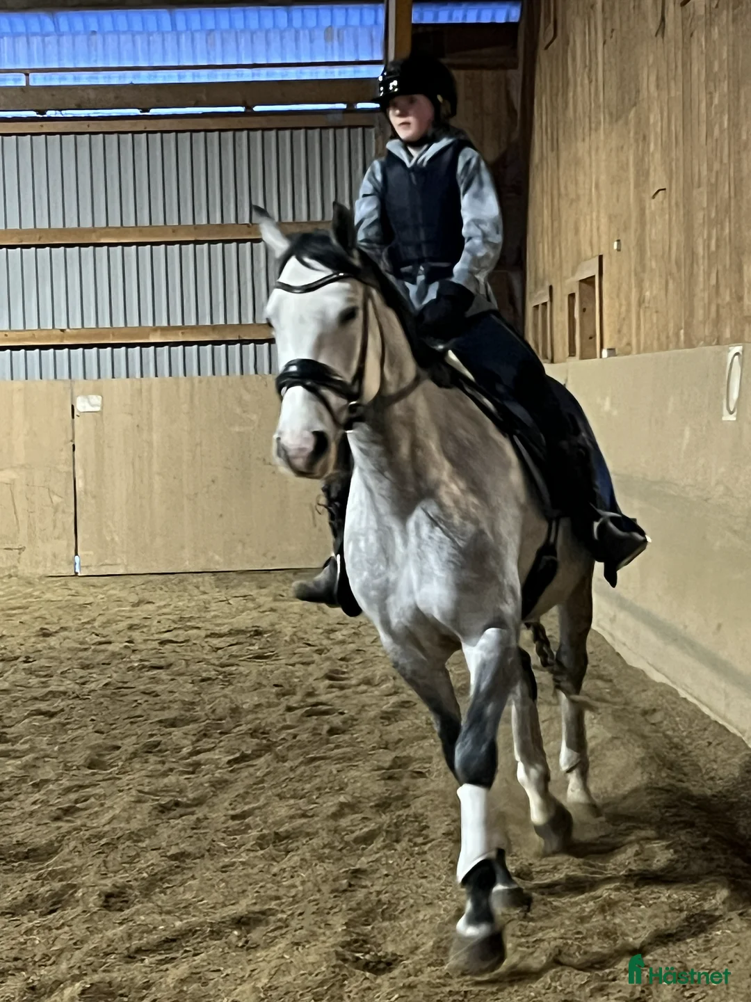  medryttarhäst sökes: Söker medryttarhäst i Nacka/Värmdö i Saltsjö-boo - Annons 1