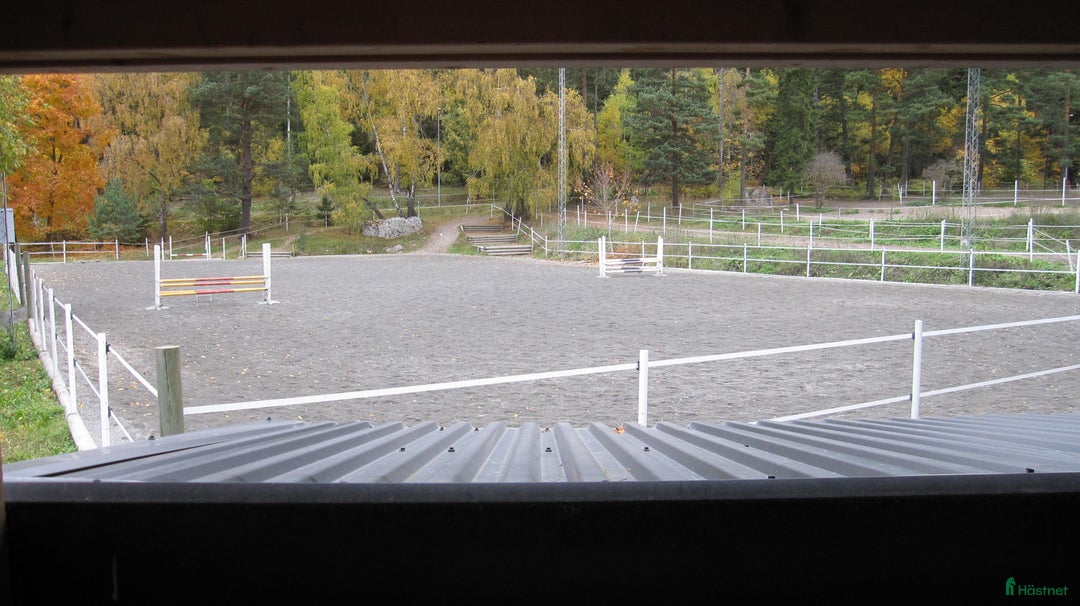  stallplats finnes: Lång utevistelse och ridhus i Sollentuna i Sollentuna - Annons 4