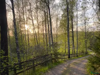 hästjobb Sommarjobb - Annons 5