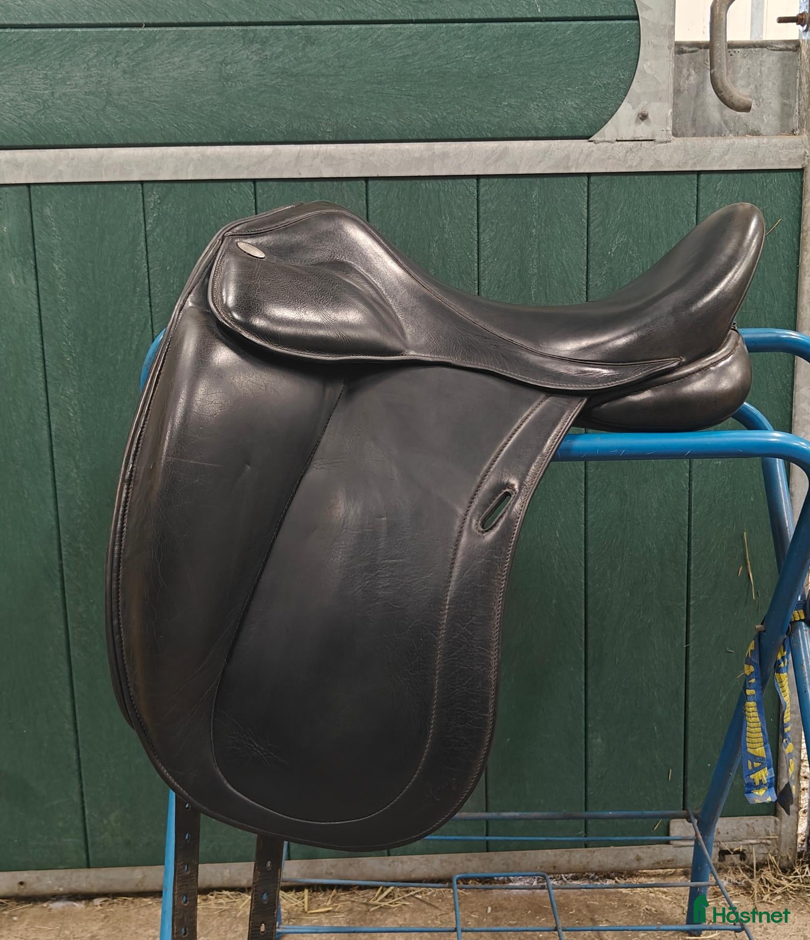 Sadlar hästutrustning Santa Cruz Leopold platinum  - Annons 3