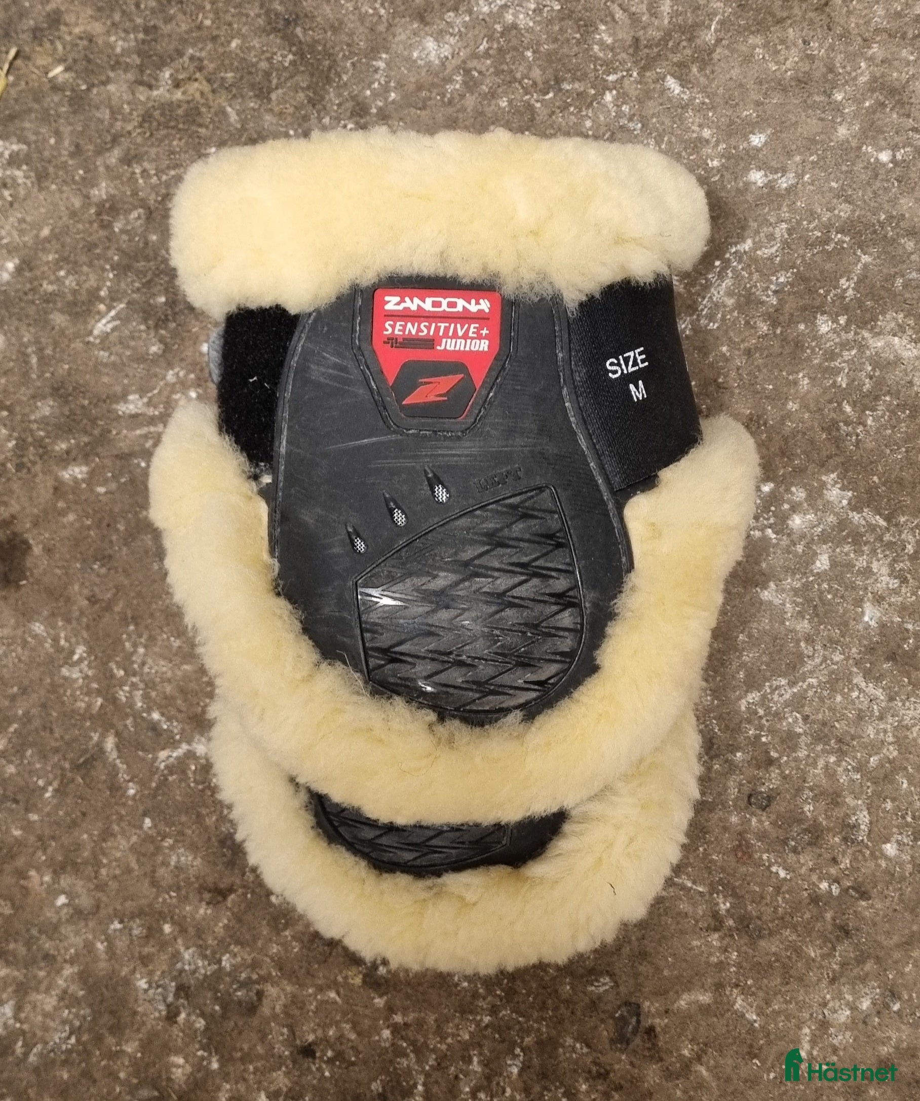 Benskydd hästutrustning till salu: Zandona bakskydd i Örbyhus - Annons 1