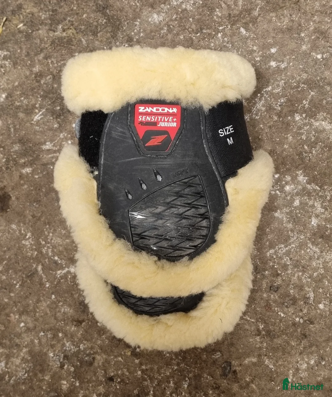 Benskydd hästutrustning till salu: Zandona bakskydd i Örbyhus - Annons 1