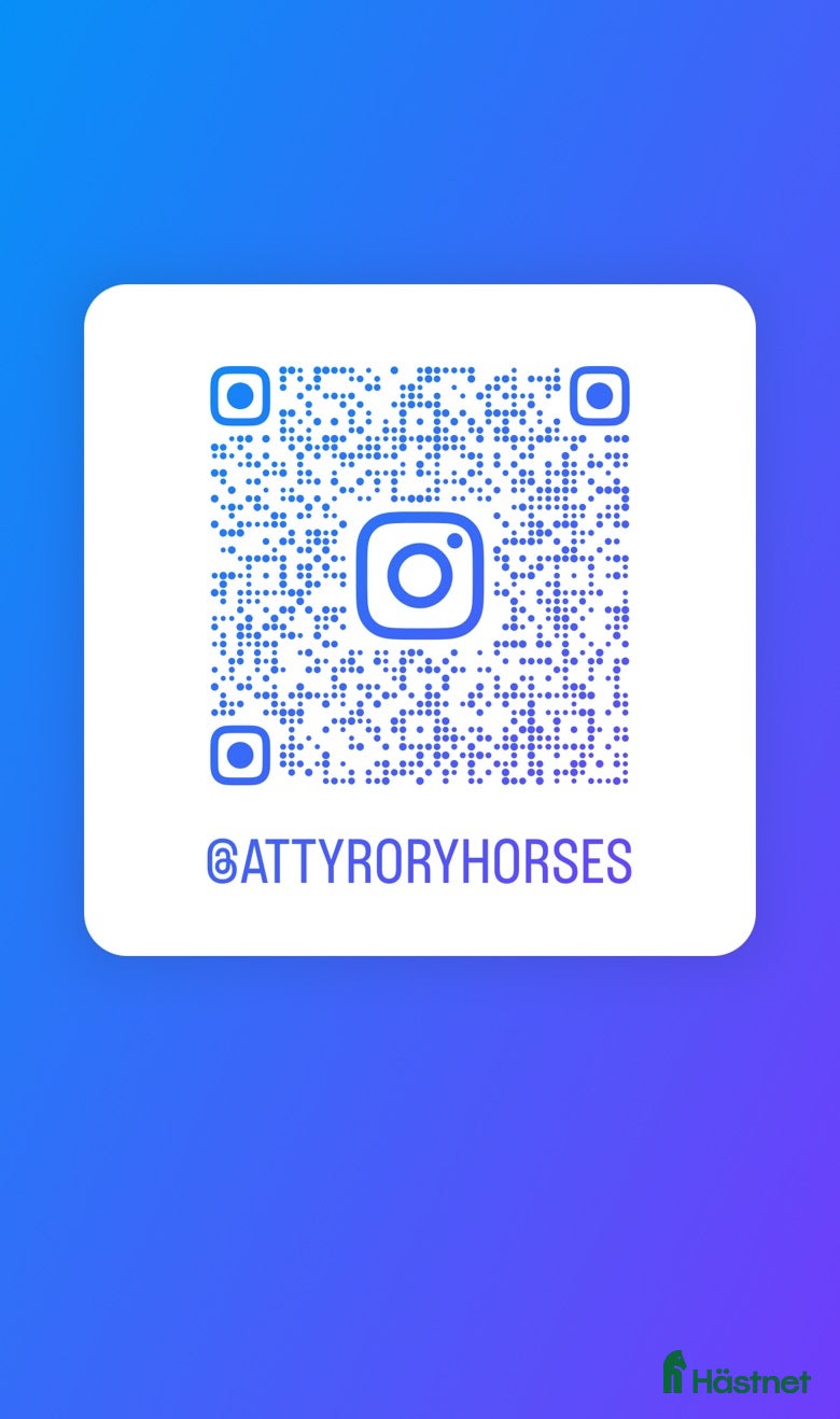  hästar Attyrory Horses - Annons 2