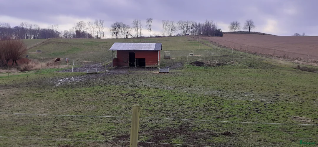  stallplats finnes: Boxplats för ponny finns i Knickarp  i Ystad - Annons 5