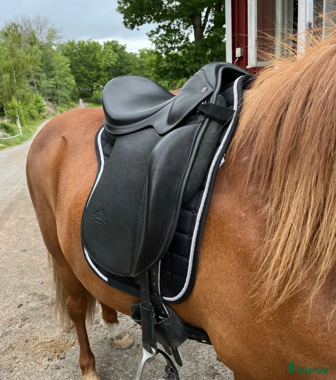 Sadlar hästutrustning till salu: Töltrider Byr 17” E-bom i Nynäshamn - Annons 6