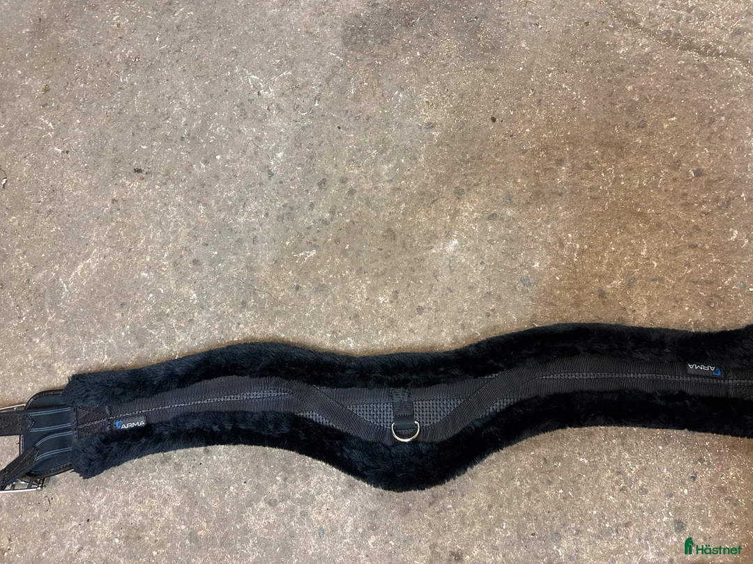 Sadeltillbehör hästutrustning till salu: Arma sadelgjord i Gävle - Annons 3