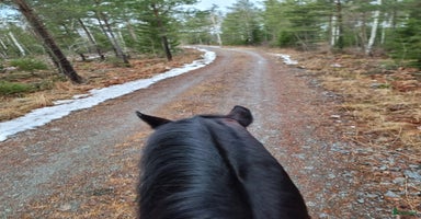  stallplats i Knivsta - Annons 7