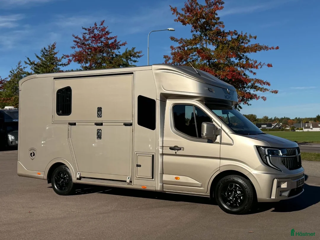 Hästlastbilar  fordon & transport till salu: Exclusive Paragan Excelsion 5XL Automat Stuteri - Annons 2