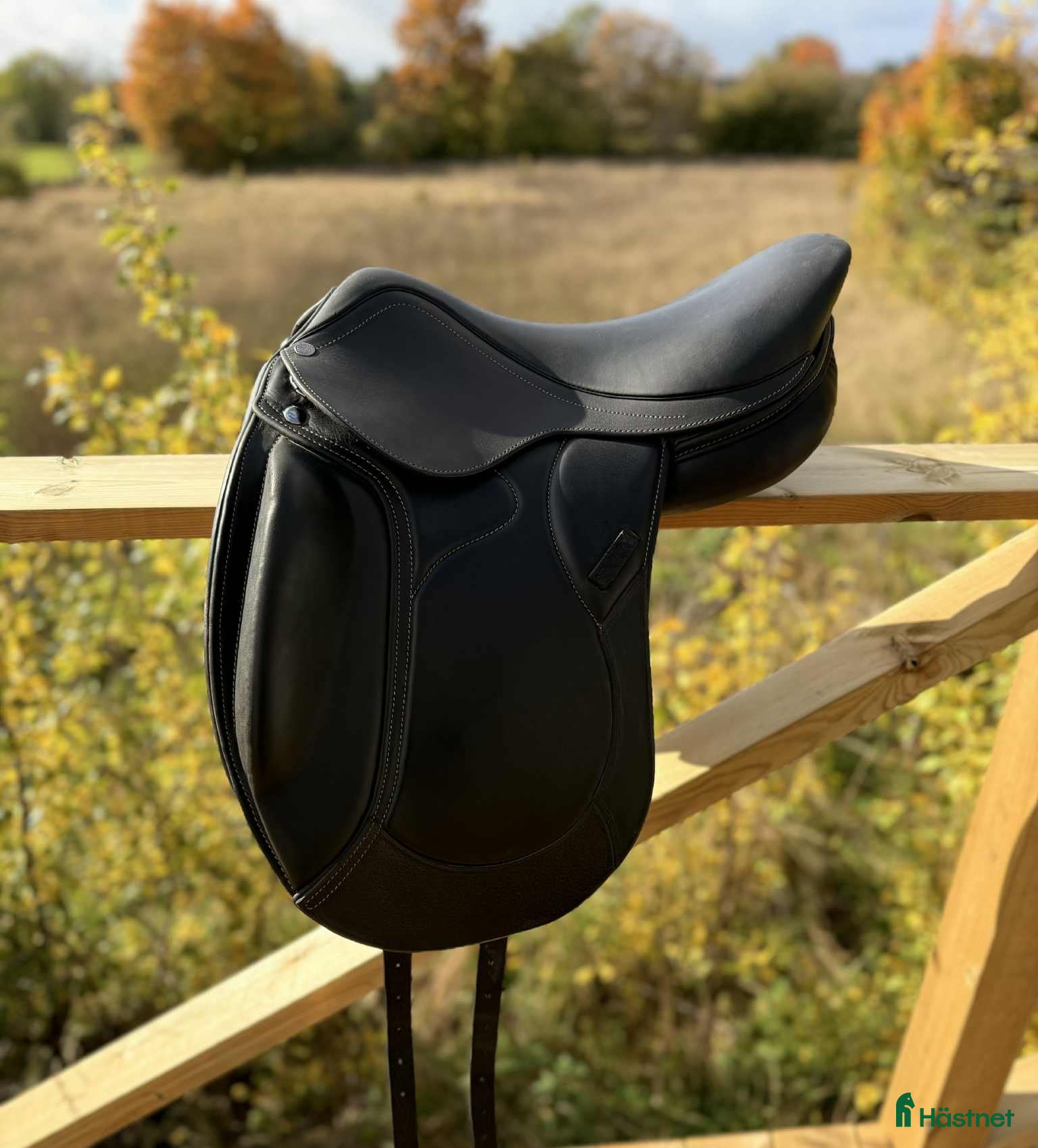 Sadlar hästutrustning Dressyrsadel Ergo X2 Salmiak - Annons 5